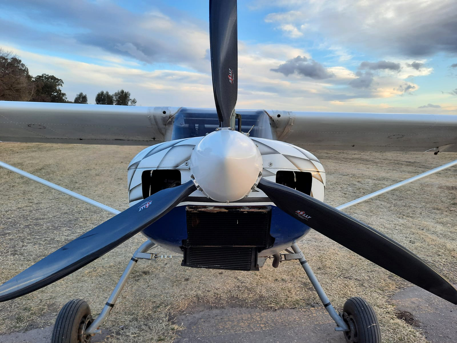 WhatsApp Image 2025-01-11 at 7.08.11 PM