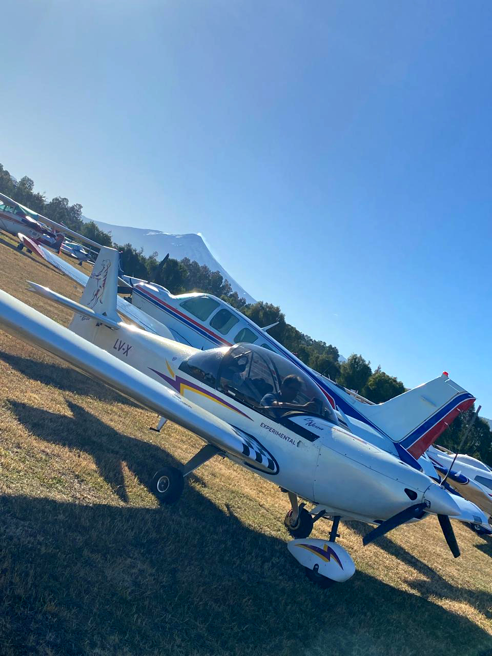 WhatsApp Image 2025-01-13 at 2.03.41 PM