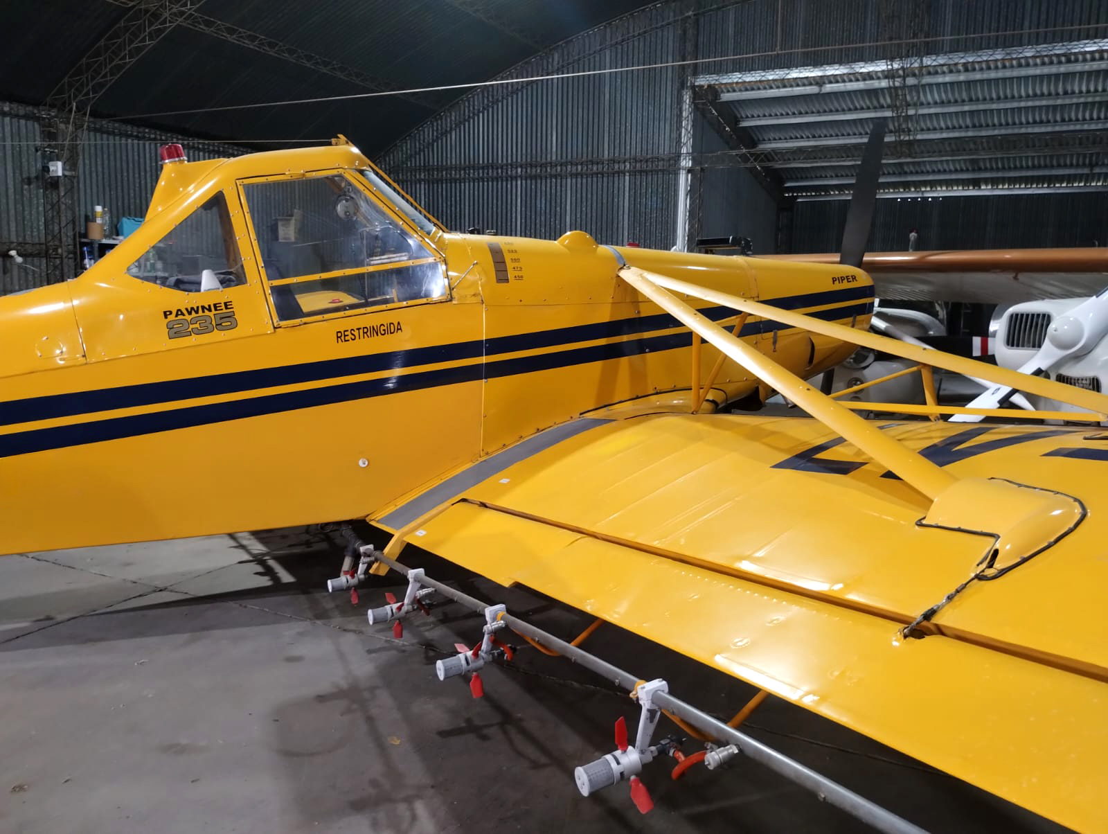 WhatsApp Image 2025-07-31 at 3.53.24 PM (1)