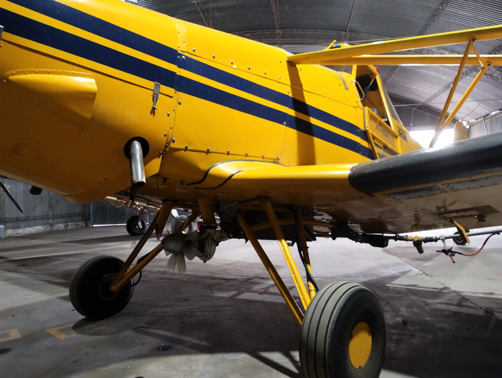 WhatsApp Image 2025-07-31 at 3.53.27 PM (1)