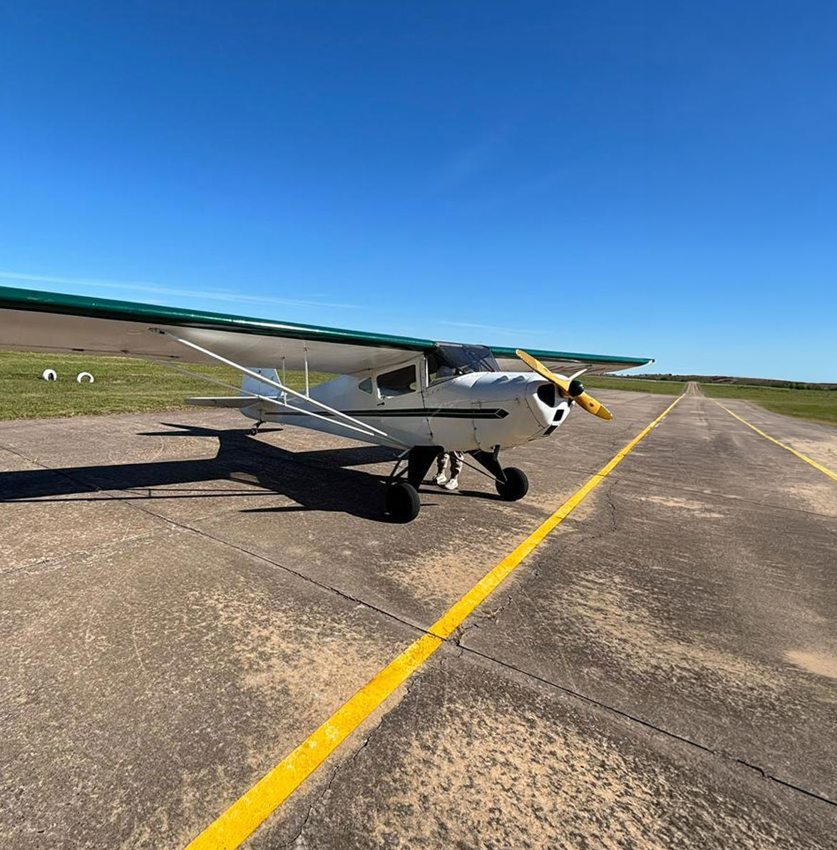 taylorcraft 65hp tren convencional (1)
