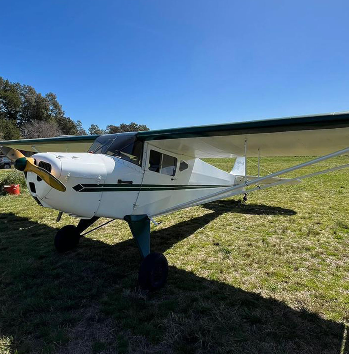 taylorcraft 65hp tren convencional (7)