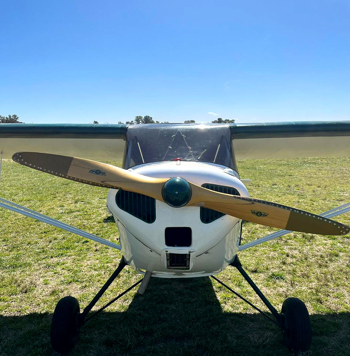 taylorcraft 65hp tren convencional (8)
