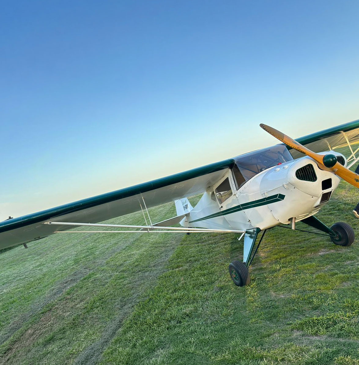 taylorcraft 65hp tren convencional (9)