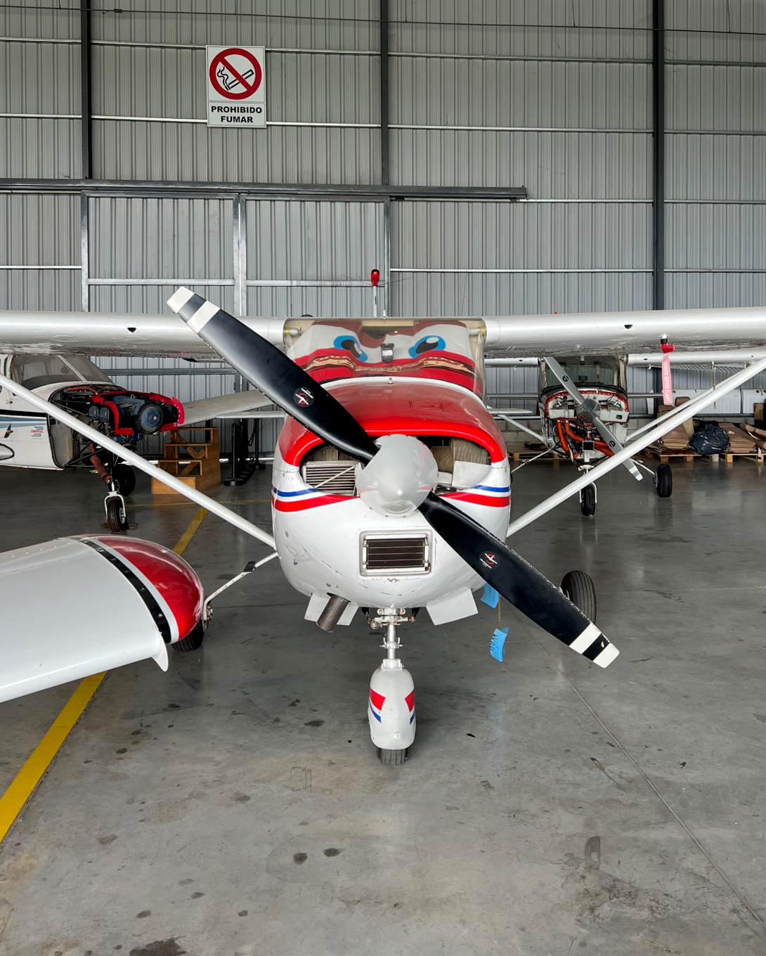 Cessna 182 230 (11)